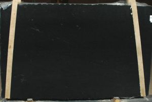 Black Stripe - Exotic